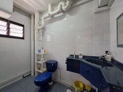 Blk 228C Compassvale Walk (Sengkang), HDB 5 Rooms #539814061